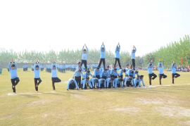 Click here to Enlarge